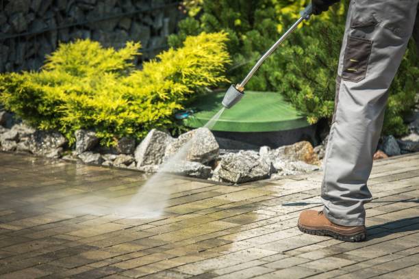 Best Solar Panel Cleaning  in Tomball, TX